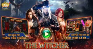 the witcher